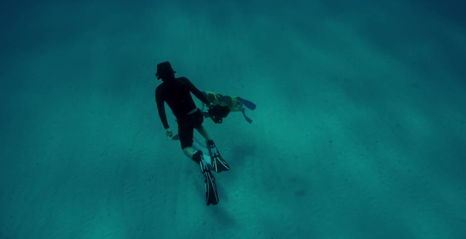 Divers film sea creatures near the ocean floor
