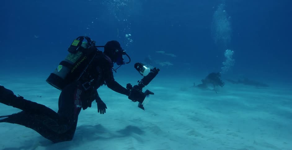 Underwater diver films sea life on the ocean floor
