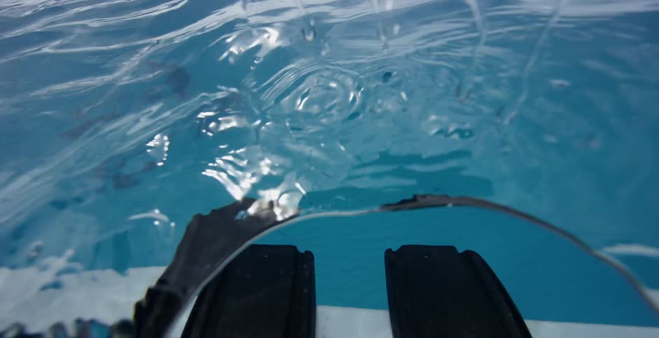 Below the water sharks can be seen swimming