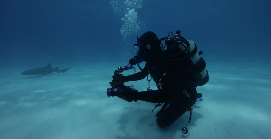 Underwater diver films sea life on the ocean floor
