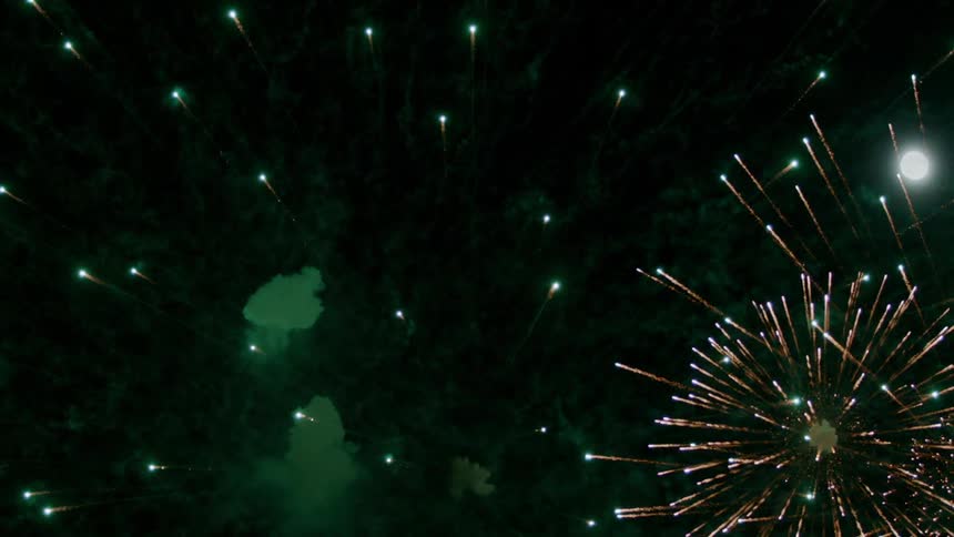 Fireworks burst in the night sky