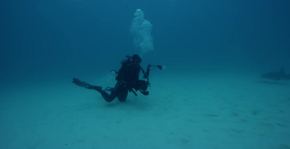 A scuba diver is filming the sharks swimming around