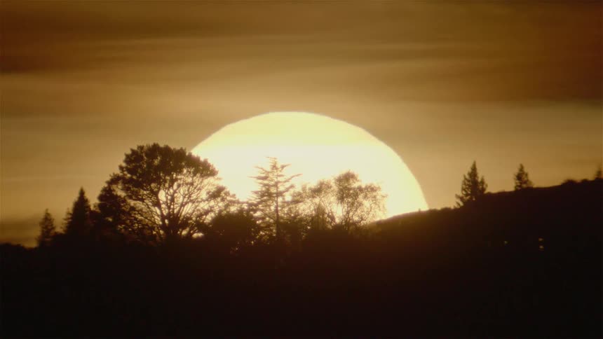The sun is setting behind the trees ahead