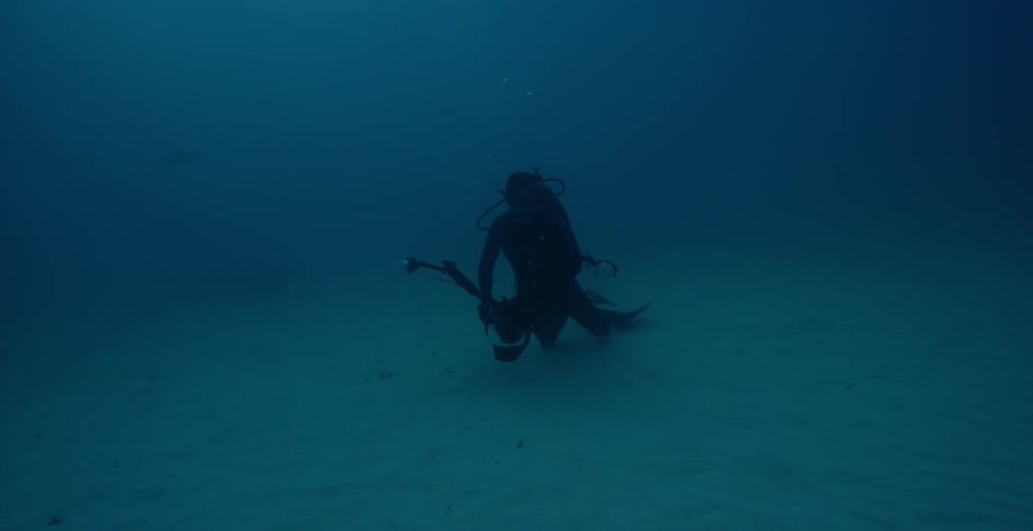 Diver films sea life near the ocean floor
