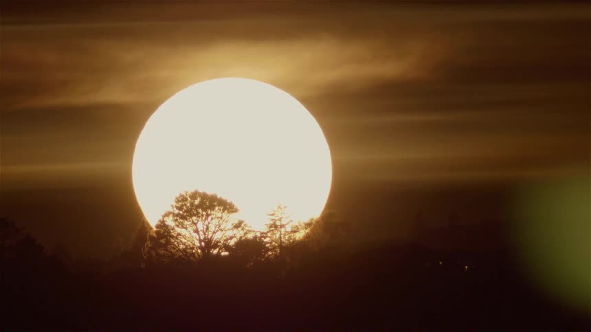 Large sun shines over tree tops