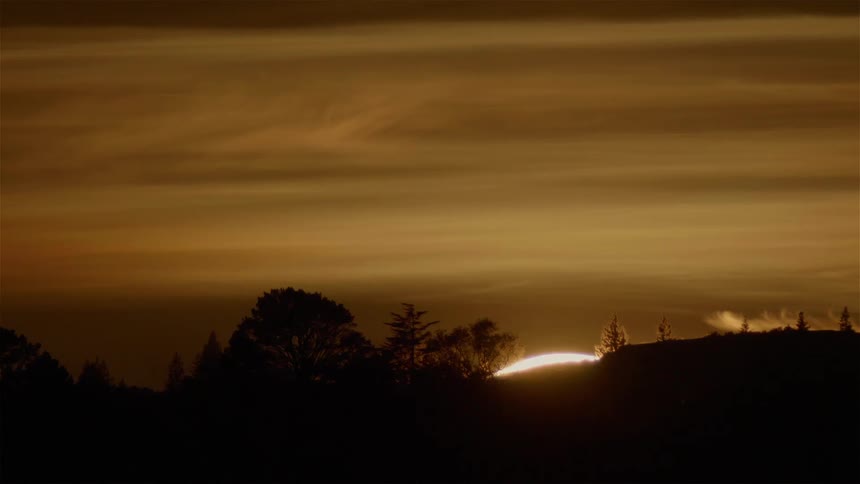 Large sun slowly sets behind trees and plains