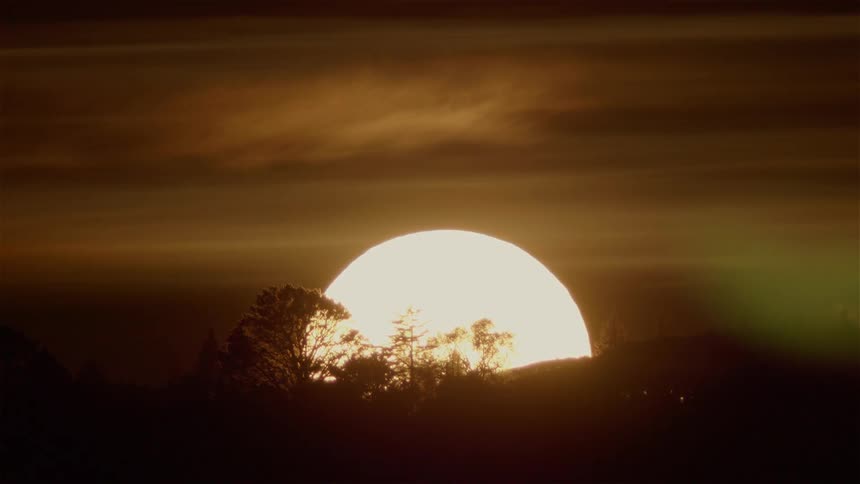 The sun is setting on a cloudy day behind the trees