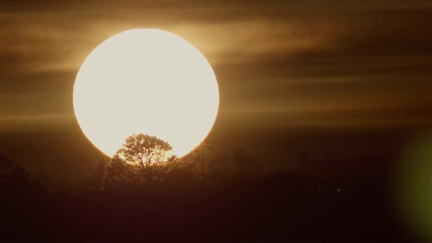 Sun shines large over a tree and plains