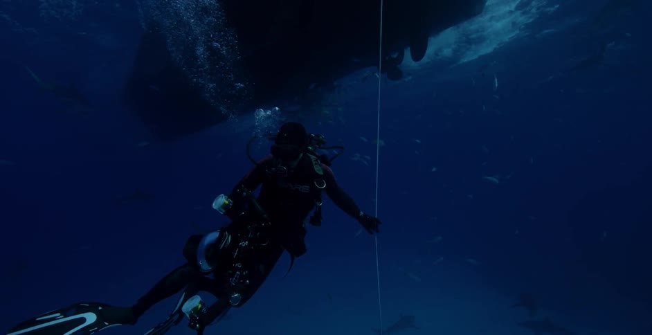 Deep sea diver guides himself to the surface using a rope