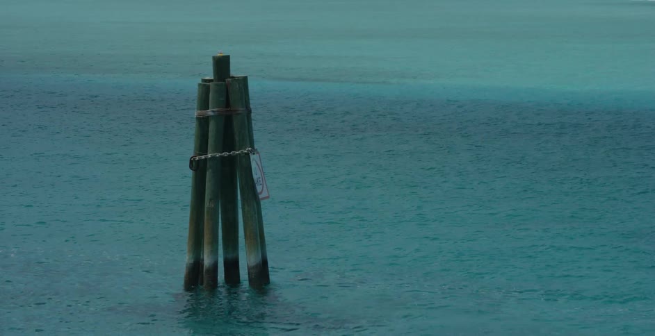 Ocean water flows around sticks in the water