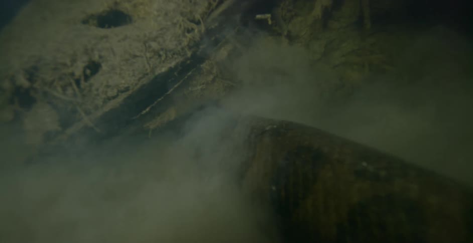 Animal burrows in the dirt underwater