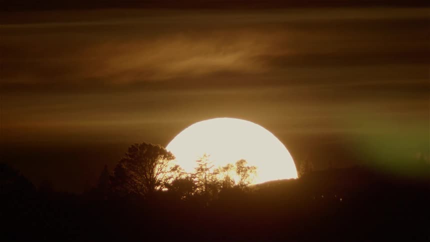 Sun shines large over a tree and plains