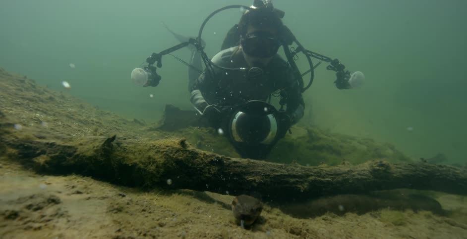 Underwater diver films sea life on the ocean floor