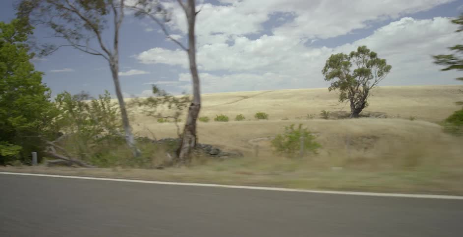 Trees sit next to the highway under the blue sky
