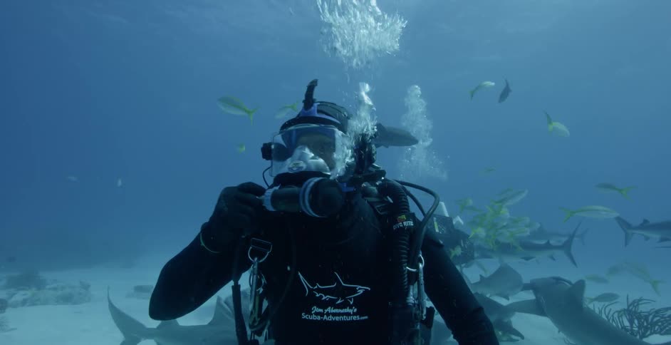 A diver sits at the bottom of the ocean as fish and sharks swim