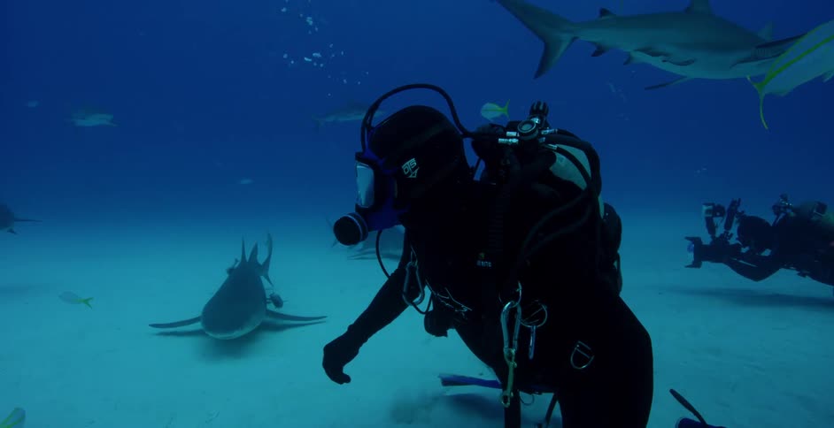 A scuba diver looks around as sharks and fish swim by