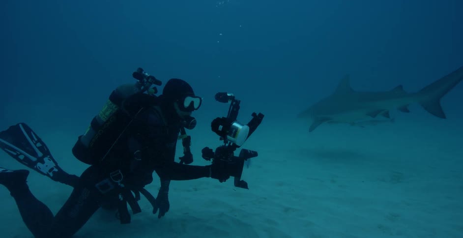 A scuba diver photographs sharks swimming past