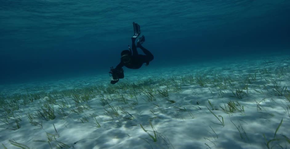 Diver swimming close to the bottom of a clear sea