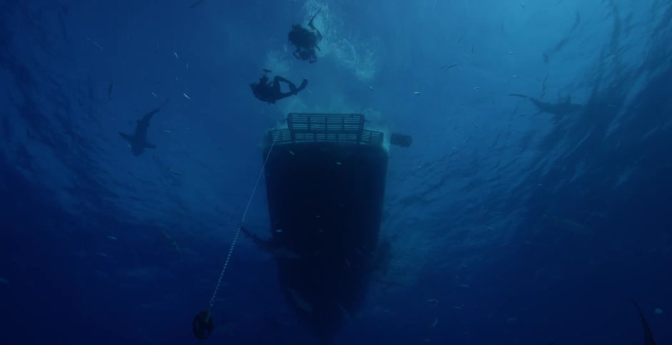 Divers enter the water from a boat as sharks swim around