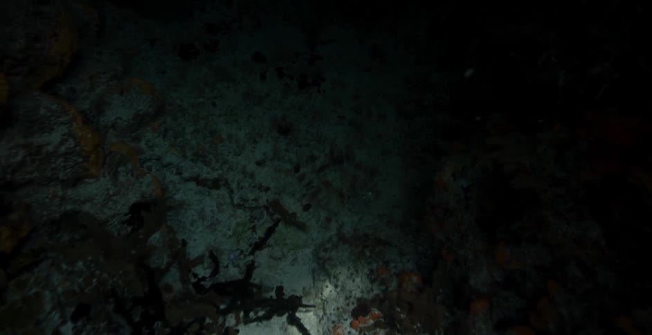 A scuba diver swims through an underwater cavern