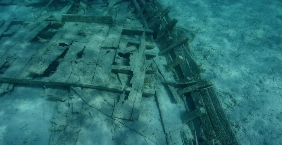 Fish swim around a sunken ship