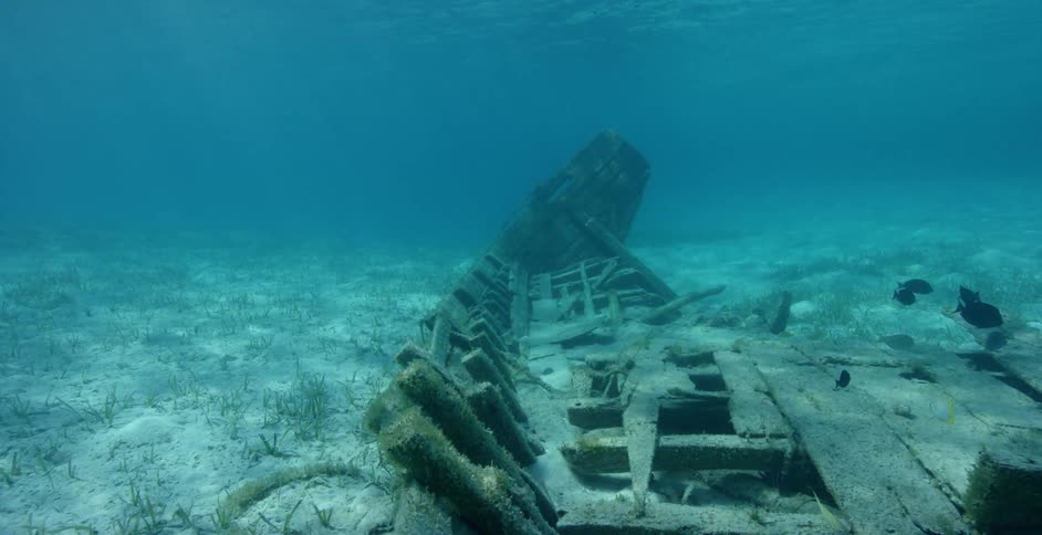 The little fishes swim on the sunken ship