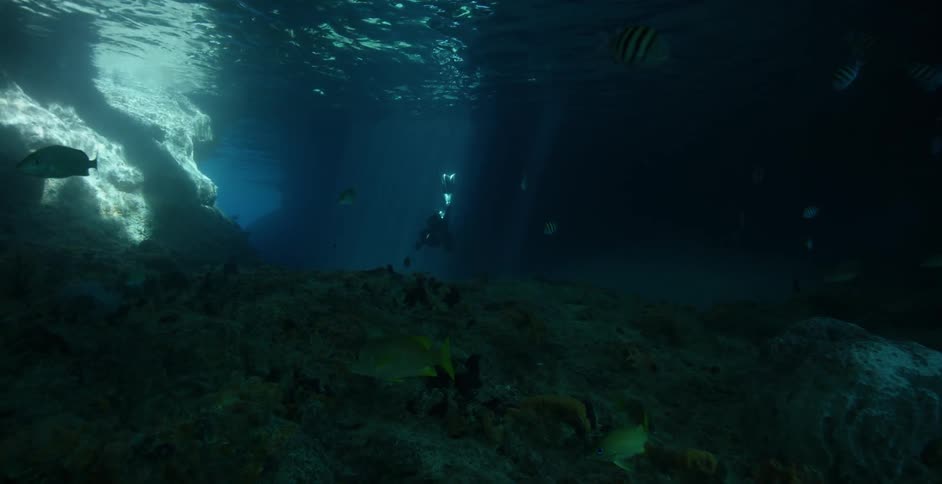 A diver moves in the dark waters ahead