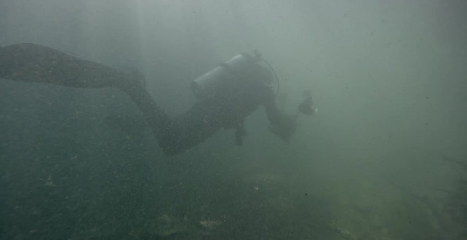 A diver swims in murky water