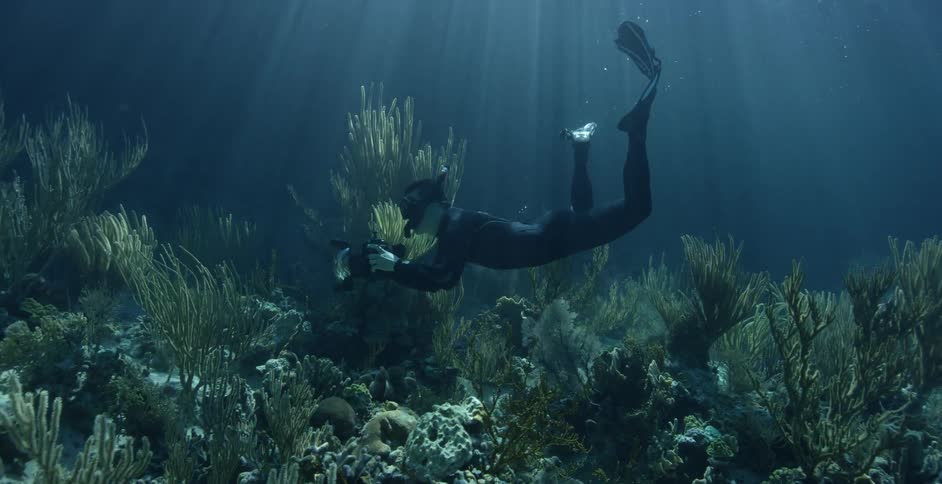 Underwater diver films coral reef