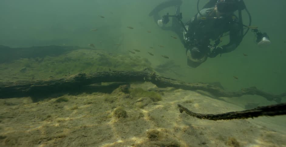 Underwater diver films sea life on the ocean floor