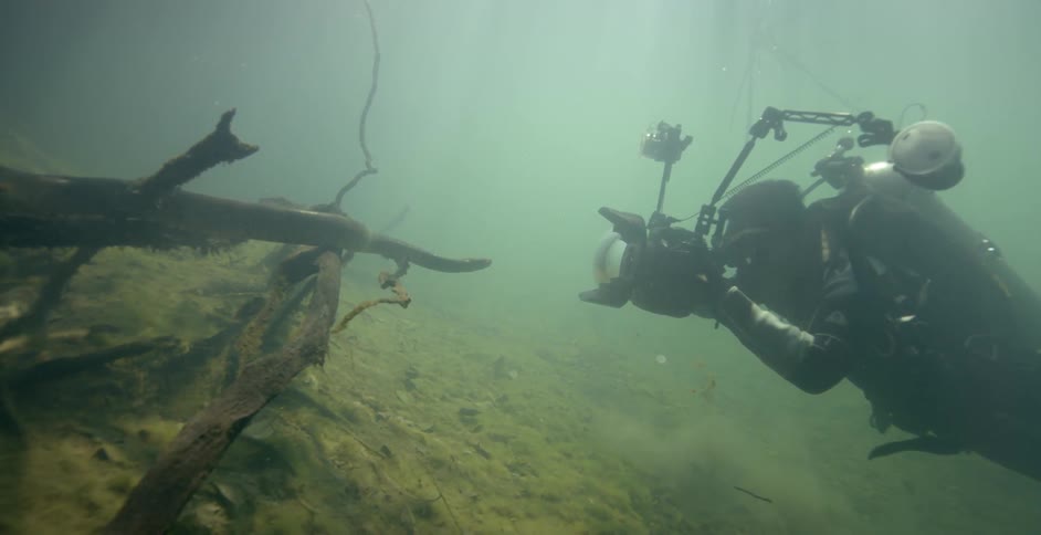 A diver is taking photos of an underwater scene in daylight