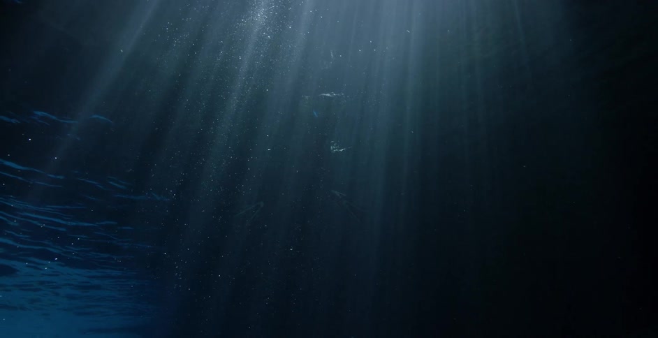 Underwater diver swims upwards towards the surface