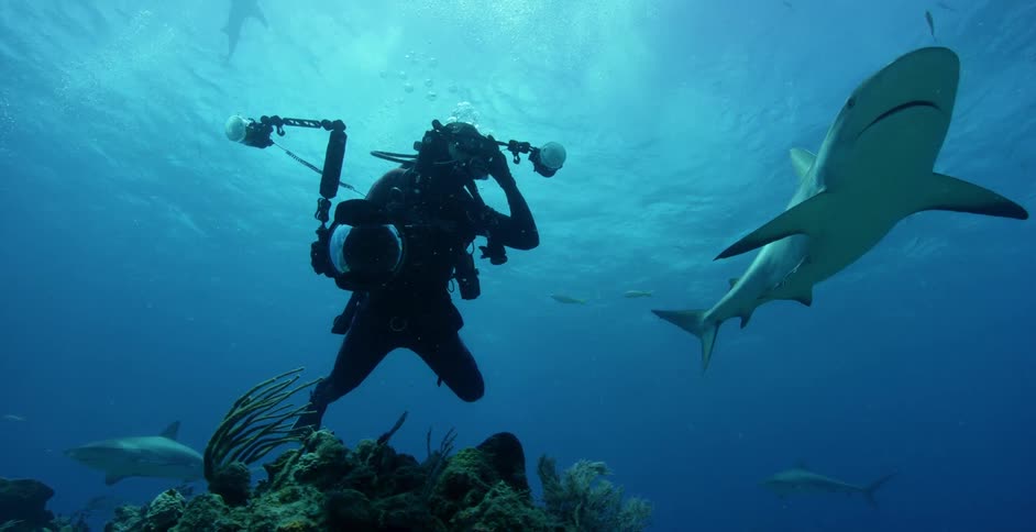 A scuba diver records sharks moving past