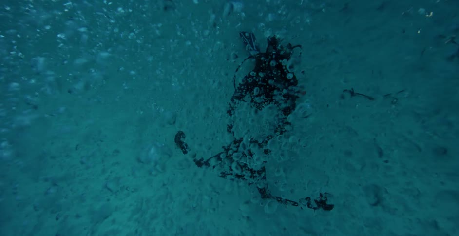 A diver swims at the bottom of the ocean