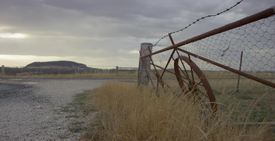 Grass grows next to a rural barbed wire fence
