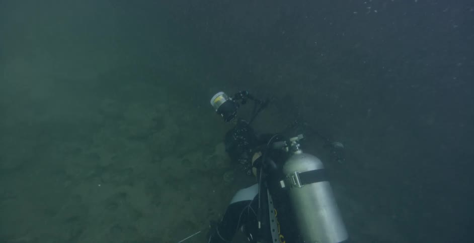 Diver explores the ocean floor