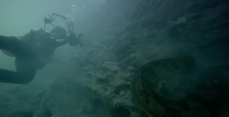 A scuba diver is filming a huge snake underwater