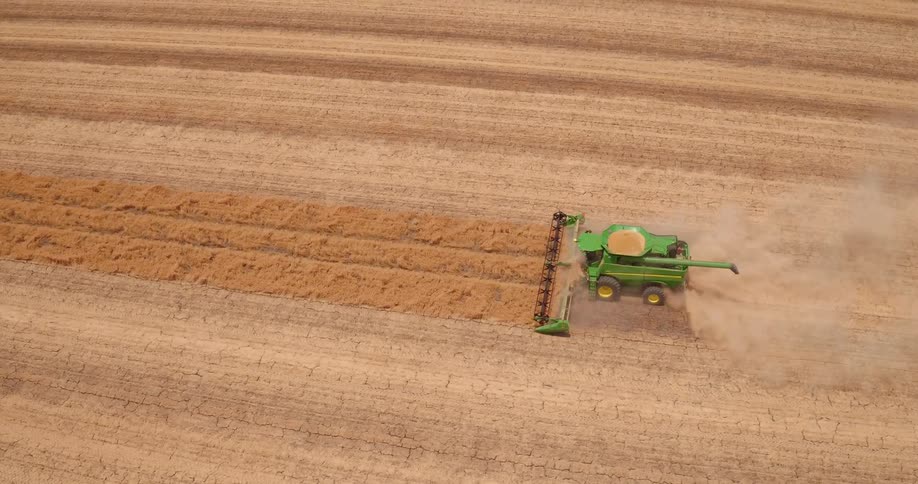 The tractor is working the field on a sunny day
