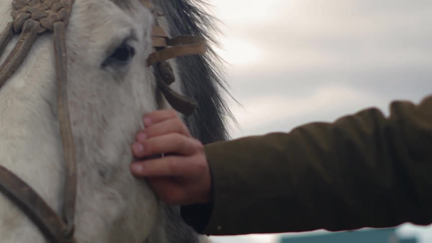 A person is petting a horse as they stand outside on a cloudy day