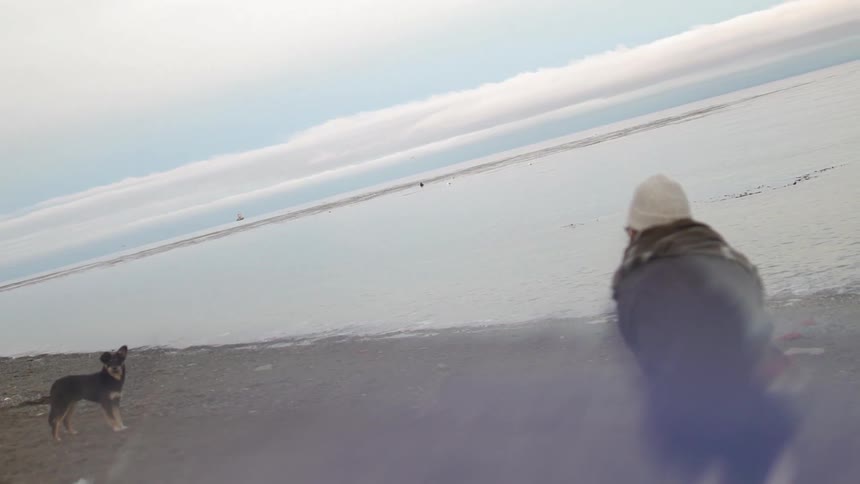 A woman and dog are on a lakeshore