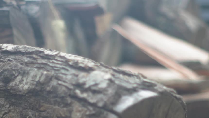 Chopped logs sit in a pile