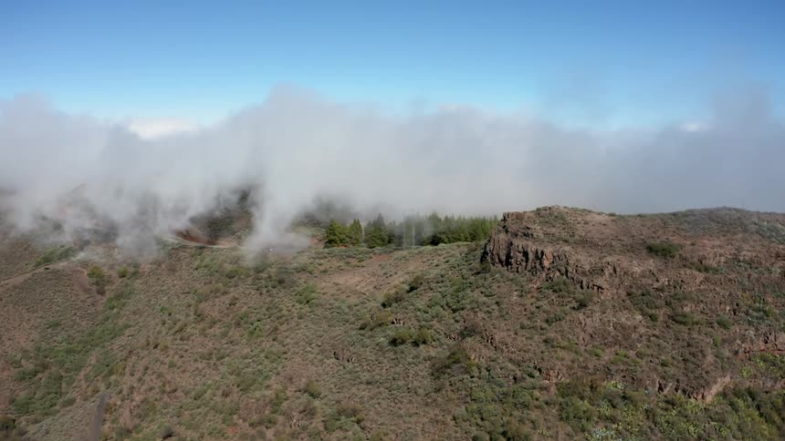 Fog is drifting over a hillside on a sunny day