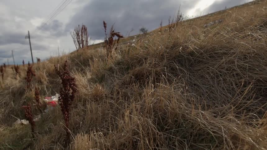 Horses are standing on the side of a hill littered with trash on a cloudy day
