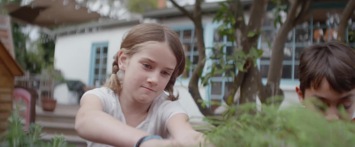 Two children rip leaves off a plant outside in a yard