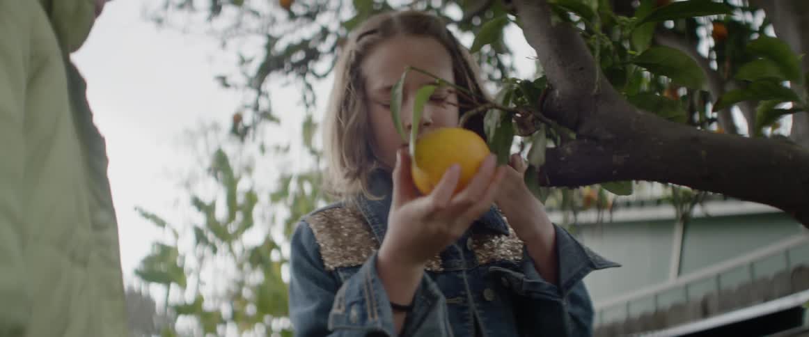 A girl is sniffing and playing with an orange hanging from a tree in daylight