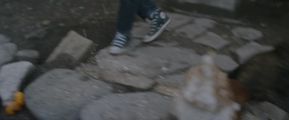 The child drops feed to the chickens in the yard