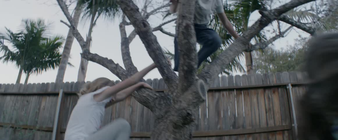 The children climb the tree, and play on the swing