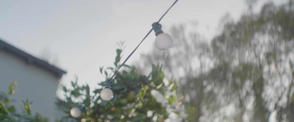 String of lights hangs near a tree