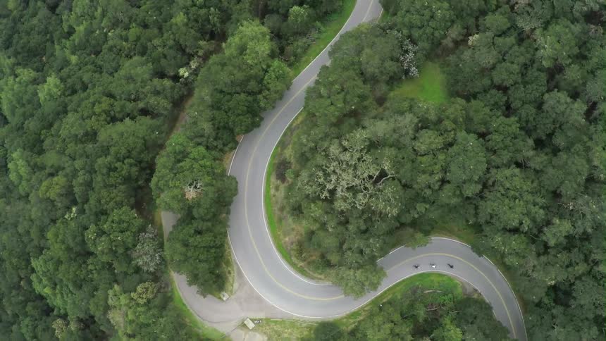 A road is winding through the forest