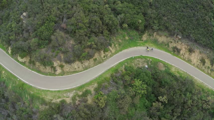 Three people ride bicycles down a curvy road that runs through a forest